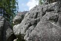 2018-05-24 14-56-49  Rando Fontainebleau DLe